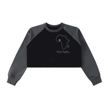 Raw-Hem Color-Block Raglan Crop Sweatshirt - Tribemodeplus