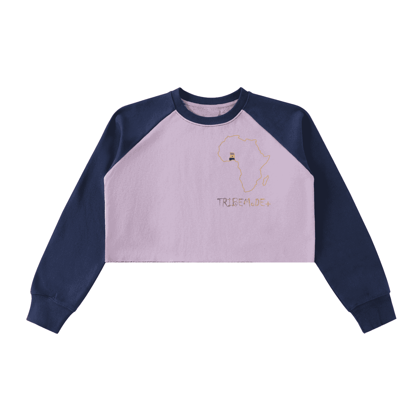Raw-Hem Color-Block Raglan Crop Sweatshirt - Tribemodeplus