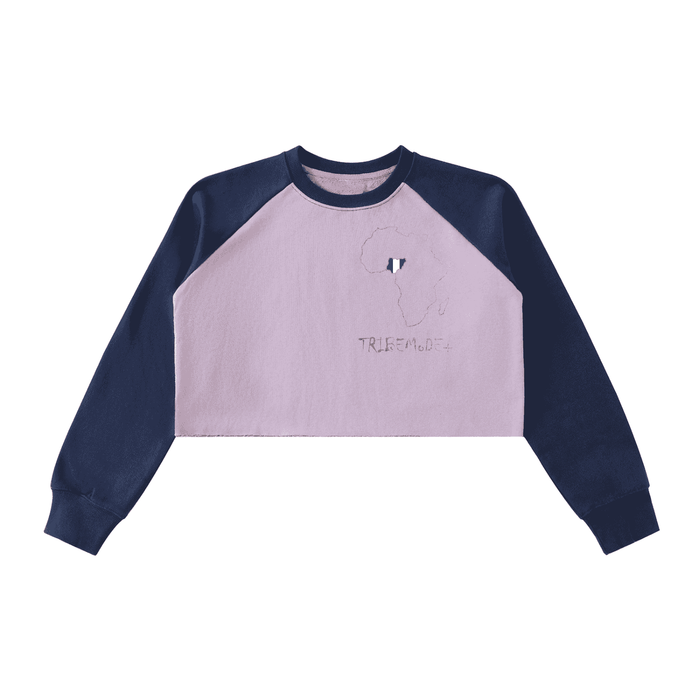 Raw-Hem Color-Block Raglan Crop Sweatshirt - Tribemodeplus