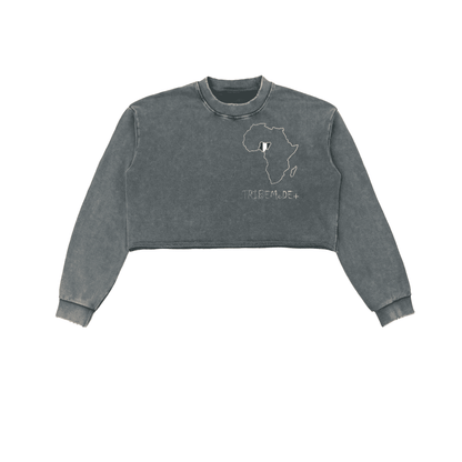 Snow Washed Raw Edge Cropped Sweatshirt - Tribemodeplus