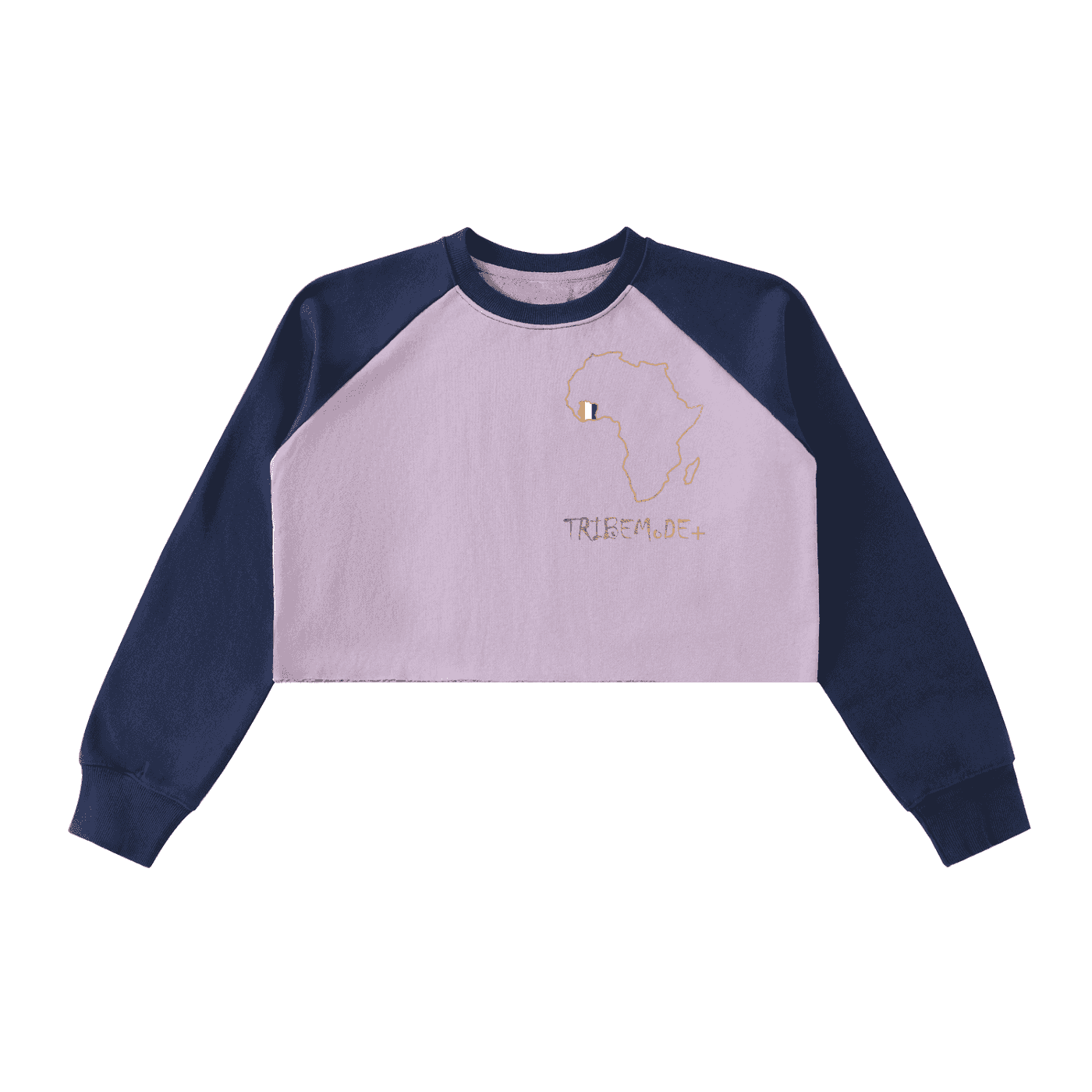 Raw-Hem Color-Block Raglan Crop Sweatshirt - Tribemodeplus