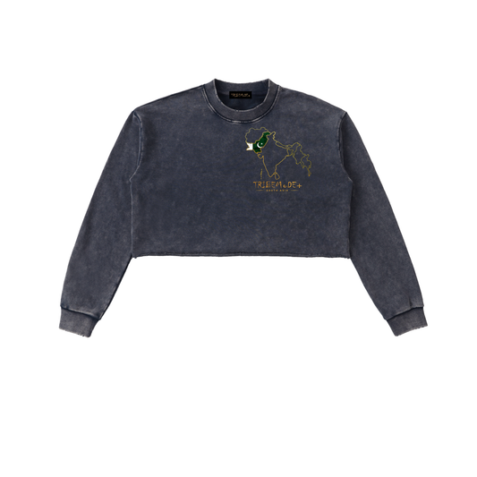 Snow Washed Raw Edge Cropped Sweatshirt