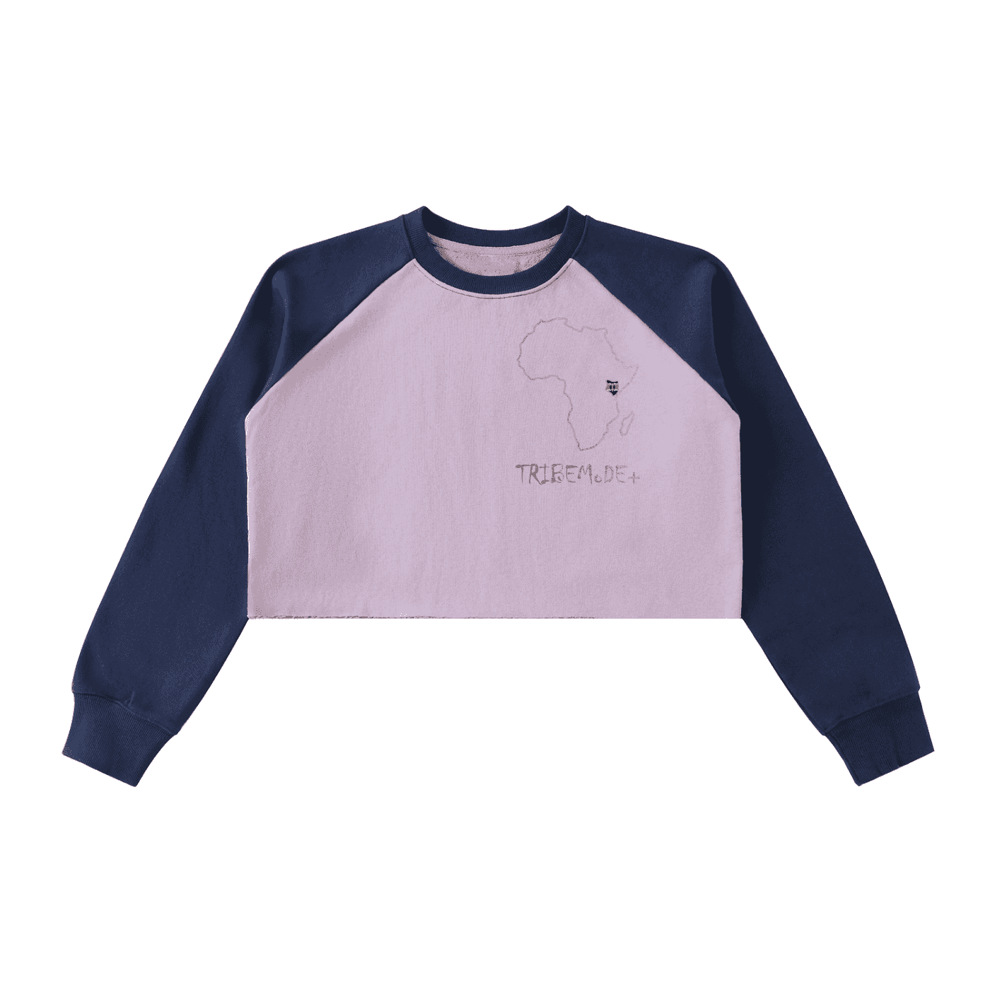 Raw-Hem Color-Block Raglan Crop Sweatshirt - Tribemodeplus