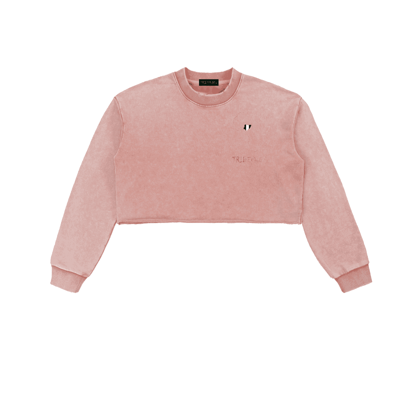 Snow Washed Raw Edge Cropped Sweatshirt - Tribemodeplus