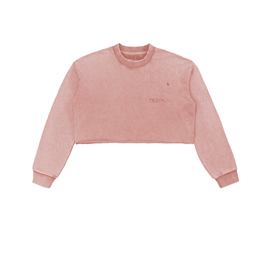 Snow Washed Raw Edge Cropped Sweatshirt - Tribemodeplus