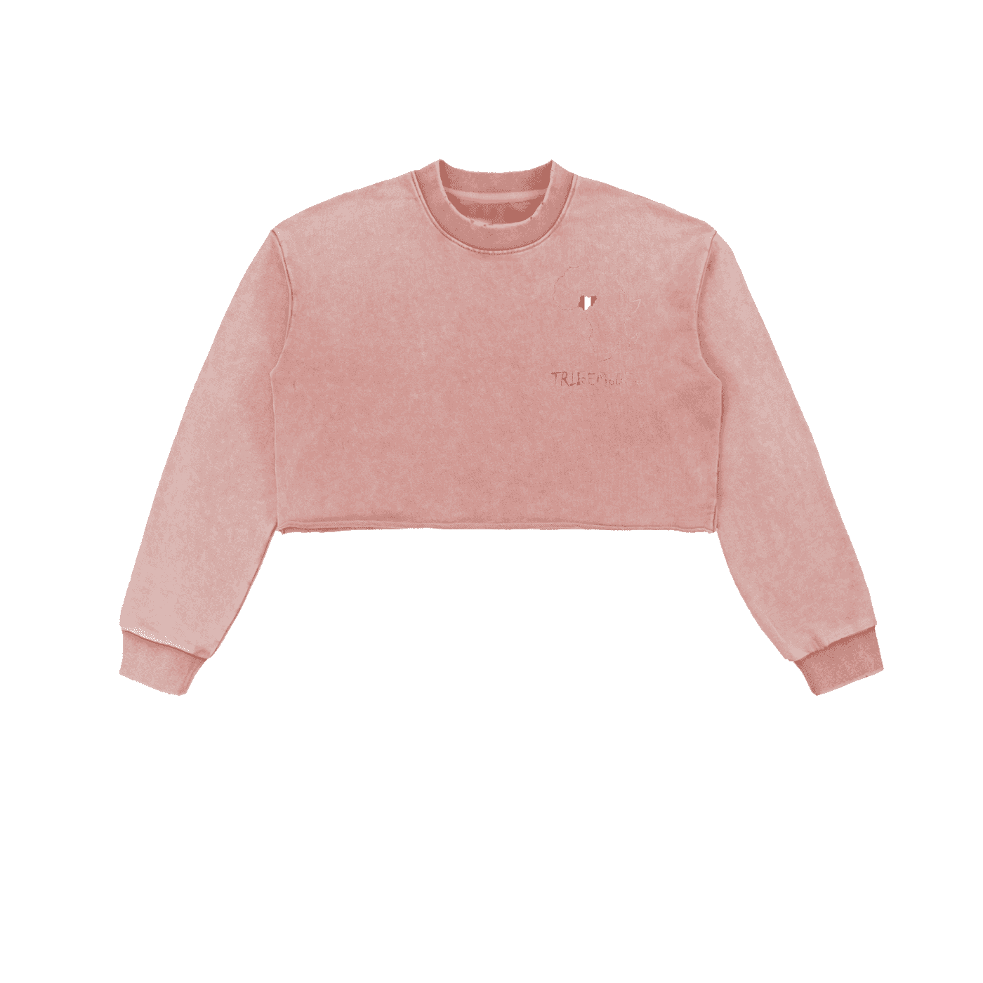 Snow Washed Raw Edge Cropped Sweatshirt - Tribemodeplus