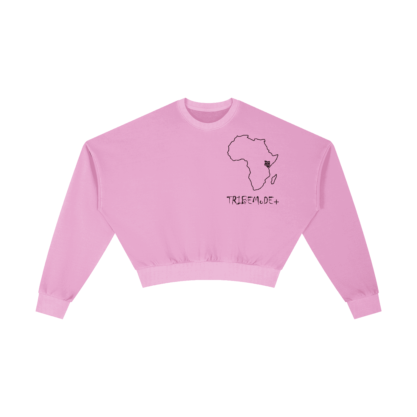 Vintage Washed Cropped Sweatshirt - Tribemodeplus