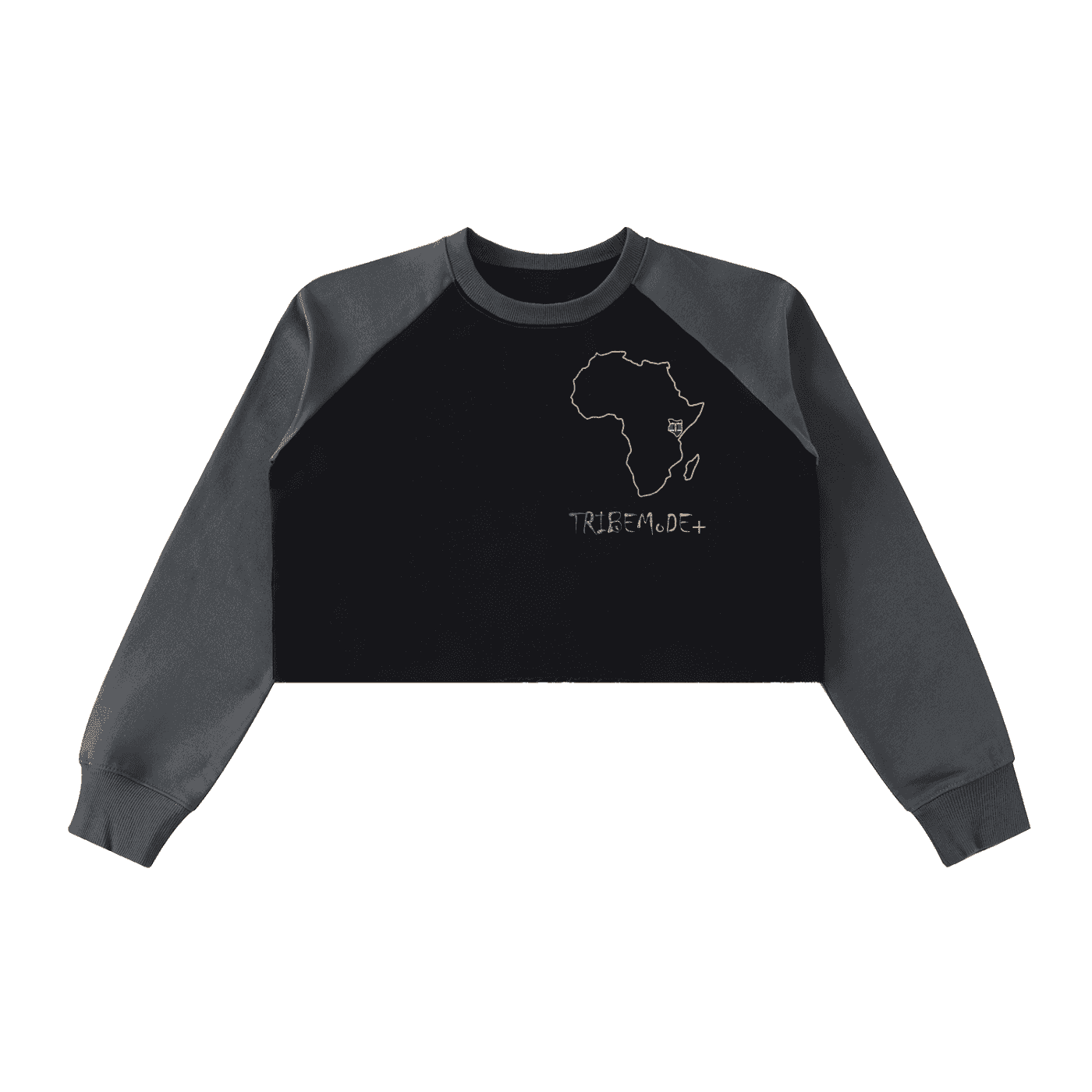 Raw-Hem Color-Block Raglan Crop Sweatshirt - Tribemodeplus
