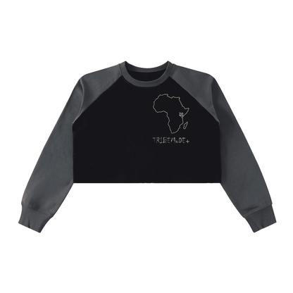 Raw-Hem Color-Block Raglan Crop Sweatshirt - Tribemodeplus