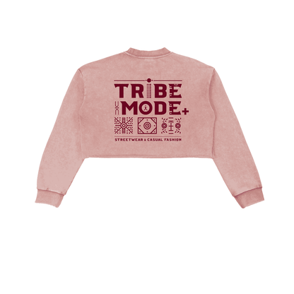Snow Washed Raw Edge Cropped Sweatshirt - Tribemodeplus