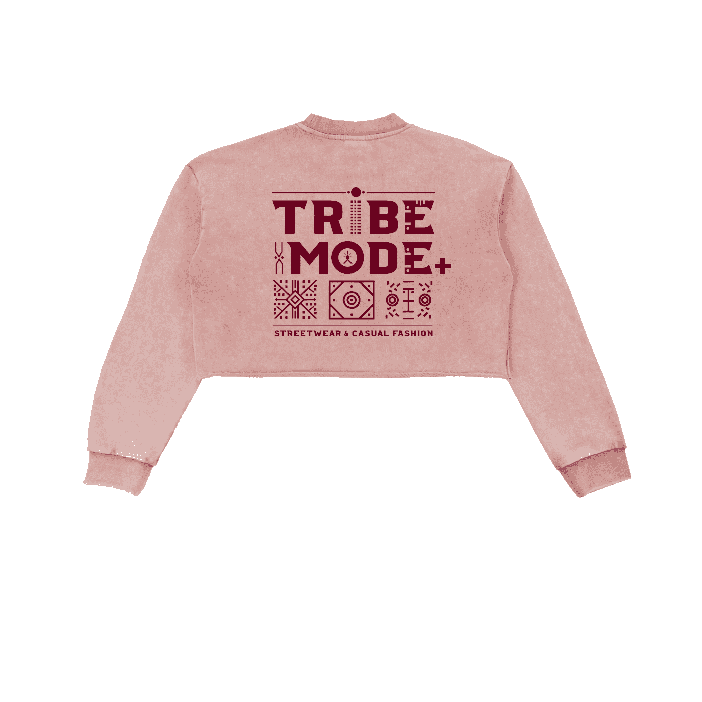 Snow Washed Raw Edge Cropped Sweatshirt - Tribemodeplus