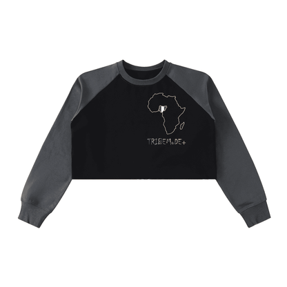 Raw-Hem Color-Block Raglan Crop Sweatshirt - Tribemodeplus