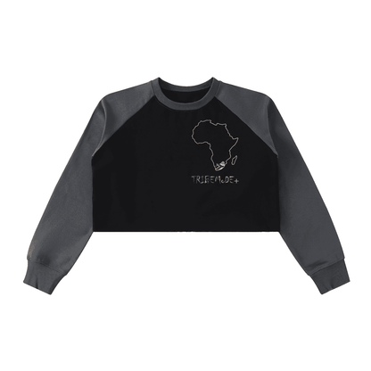 Raw-Hem Color-Block Raglan Crop Sweatshirt - Tribemodeplus