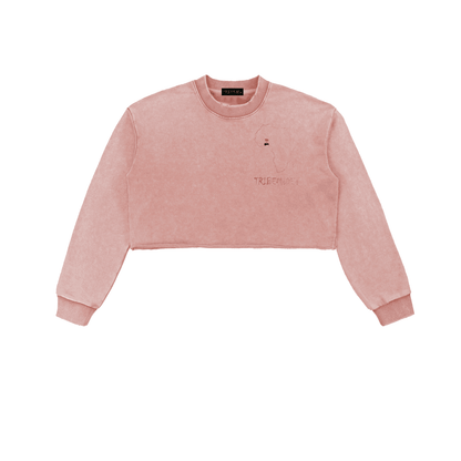 Snow Washed Raw Edge Cropped Sweatshirt - Tribemodeplus