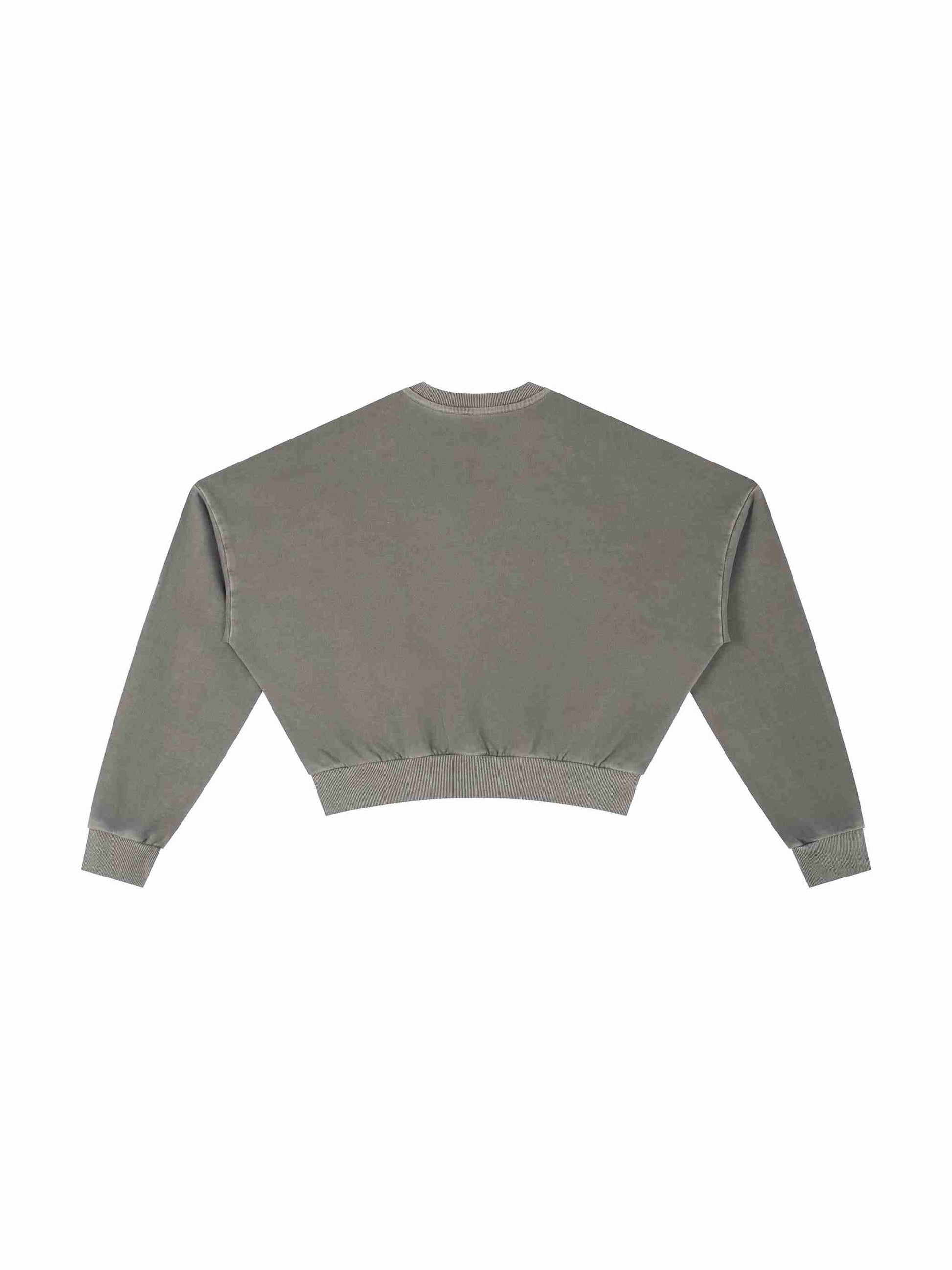 Vintage Washed Cropped Sweatshirt - Tribemodeplus
